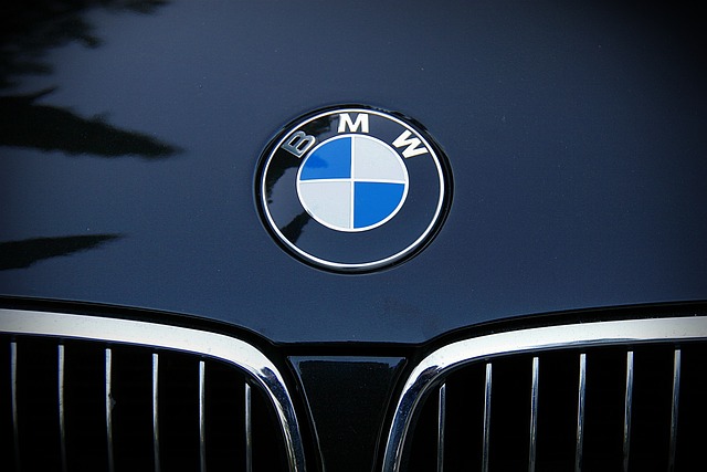 BMW-Logo-Brand
